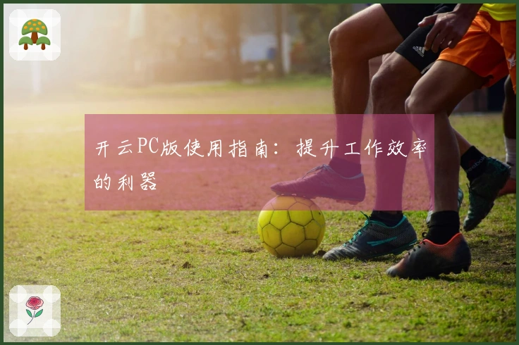 开云PC版使用指南：提升工作效率的利器