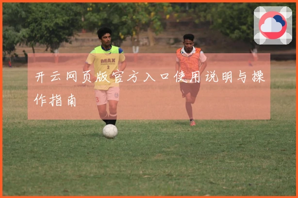 开云网页版官方入口使用说明与操作指南